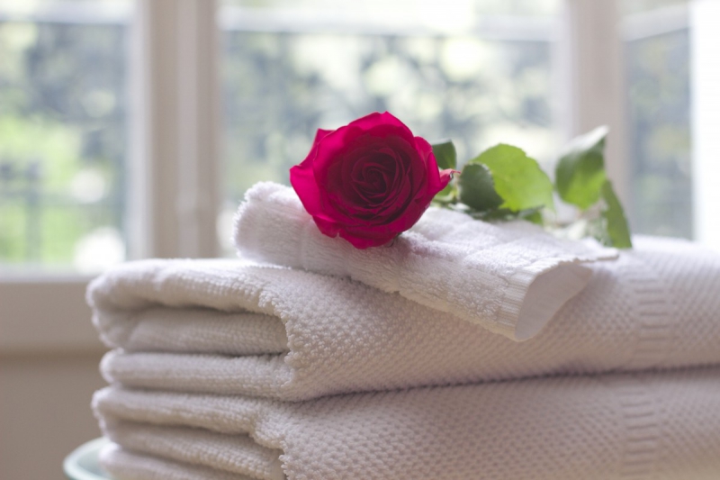 chambre-hote-AURIBEAU SUR SIAGNE-min_towel_rose_clean_care_salon_spa_white_bath-731641